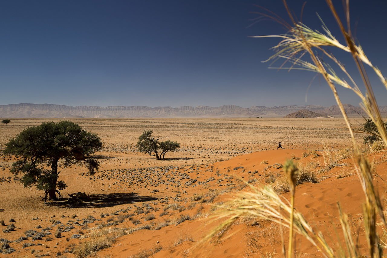 10 Tage Namibia Highlights: Yoga- & Safari-Abenteuer