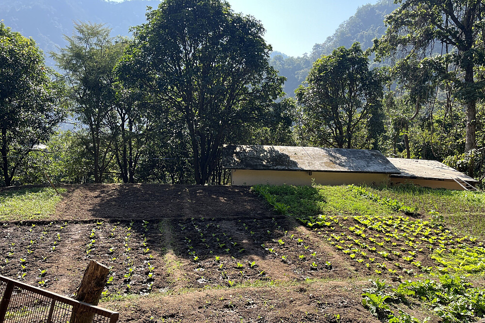 11-tägiges Vipassana-Meditationsprogramm „Silent Awakening“ in Indien 30