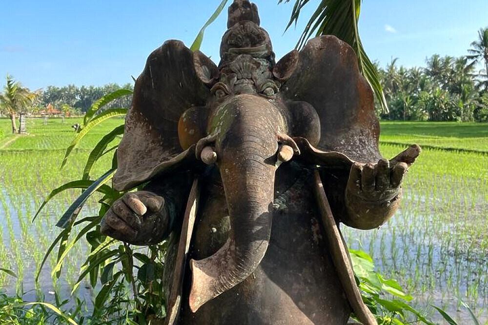 Formação de Professores de Yin Yoga e Sound Healing de 13 Dias e 100 Horas em Bali 35