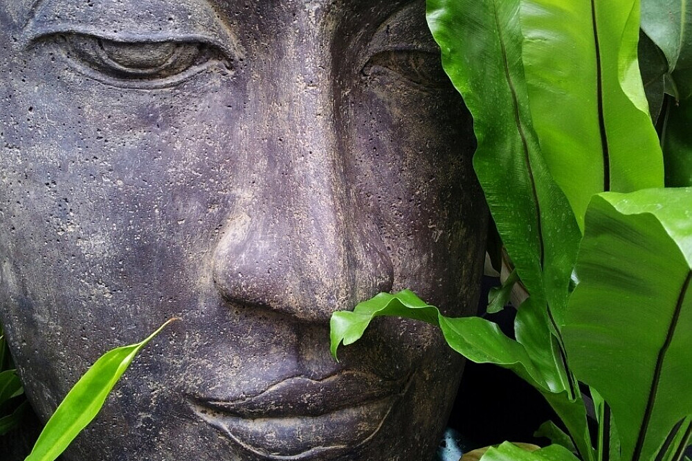 Formação de Professores de Ayurveda e Yin Yoga de 13 Dias e 100 HR, Goa, Índia 57