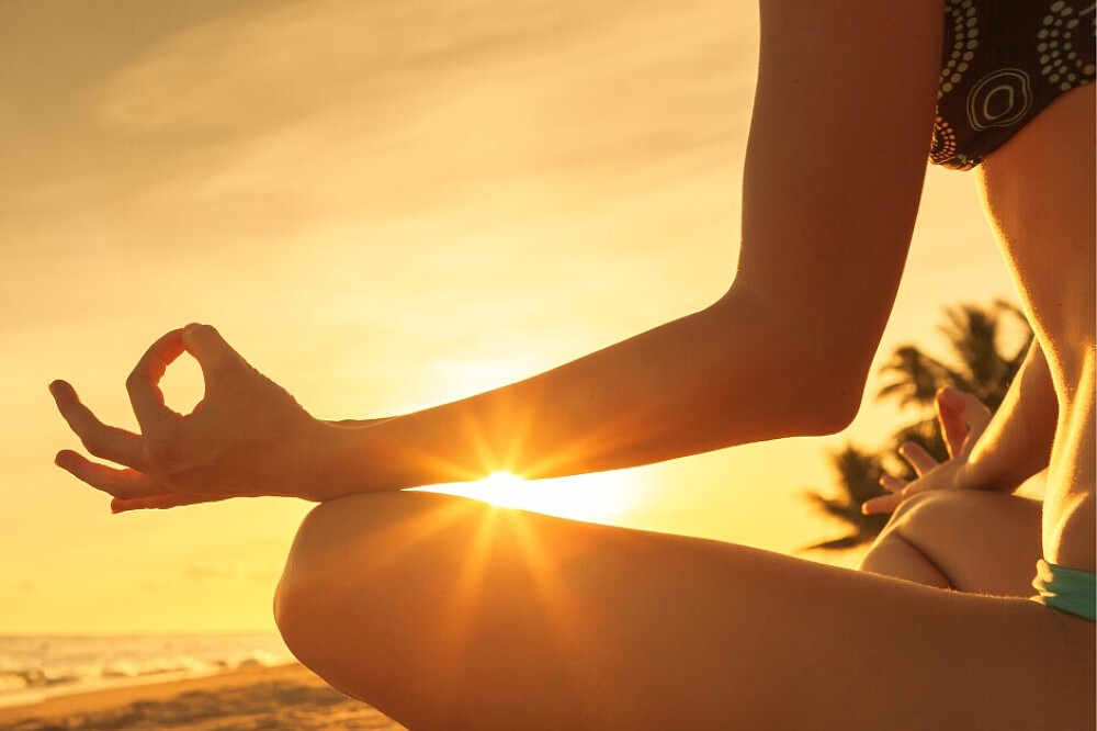 Formação de Professores de Ayurveda e Yin Yoga de 13 Dias e 100 HR, Goa, Índia 61
