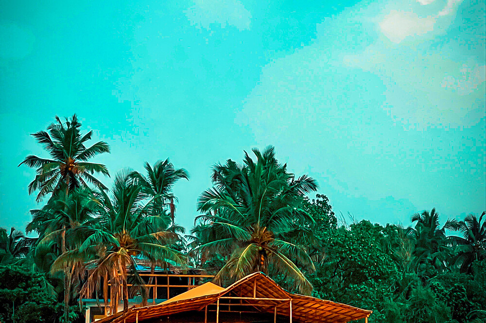 Formação de Professores de Ayurveda e Yin Yoga de 13 Dias e 100 HR, Goa, Índia 13