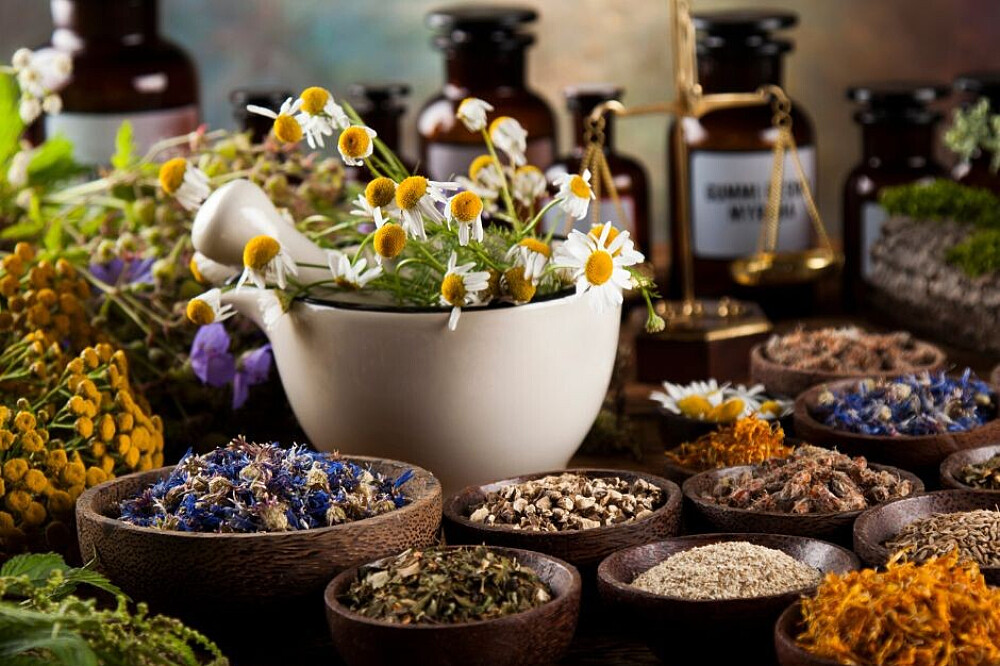 Formação de Professores de Ayurveda e Yin Yoga de 13 Dias e 100 HR, Goa, Índia 45
