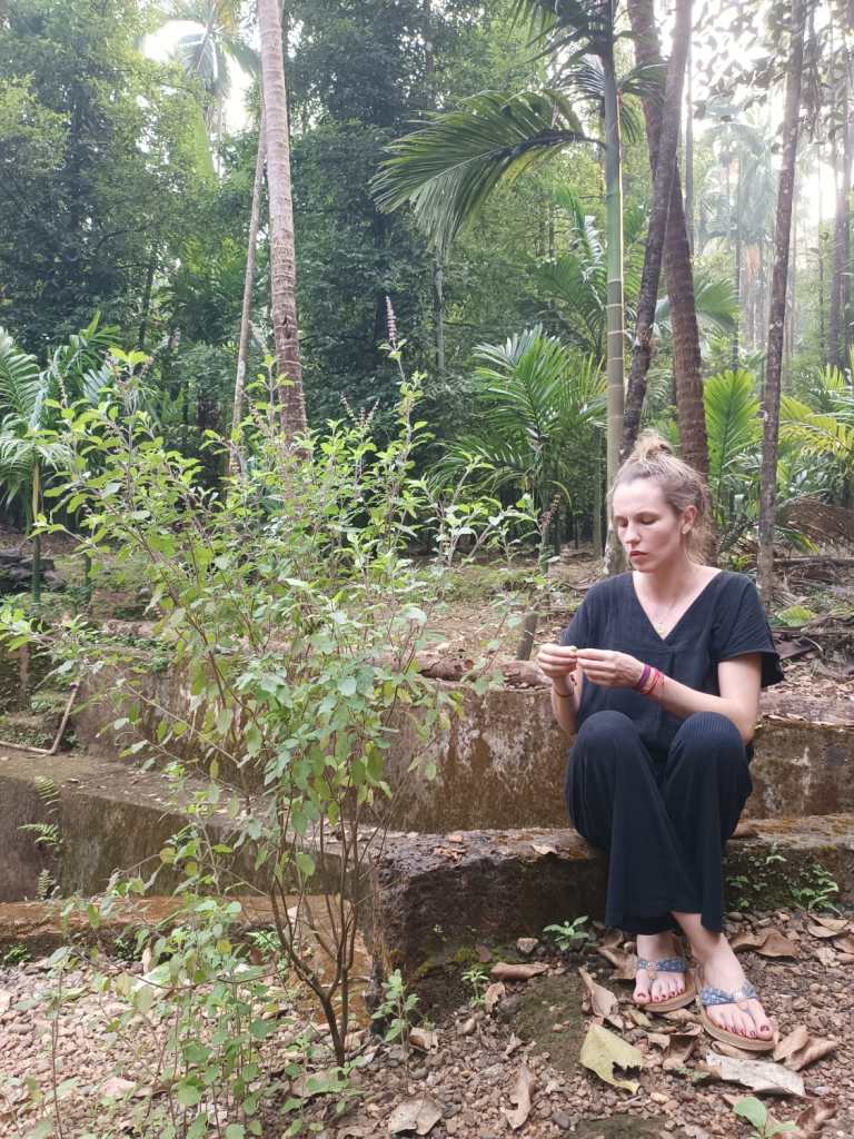 14-Day 100-Hour Yoga Teacher Training in Goa, India 3