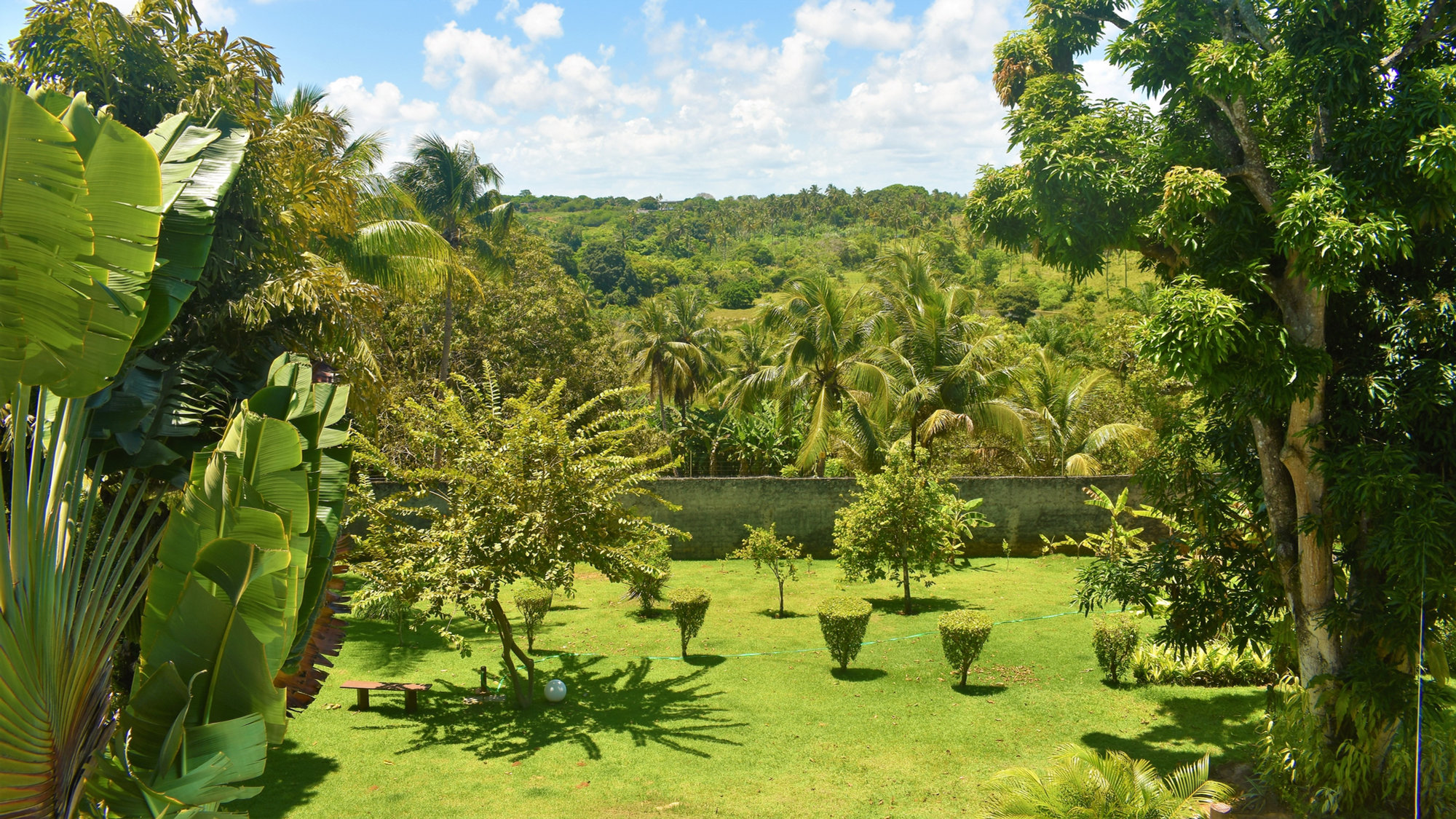 14-Day Ayahuasca Retreat with Flow Brazil Yoga, Meditation and Massages in Salvador da Bahia, Brazil 8