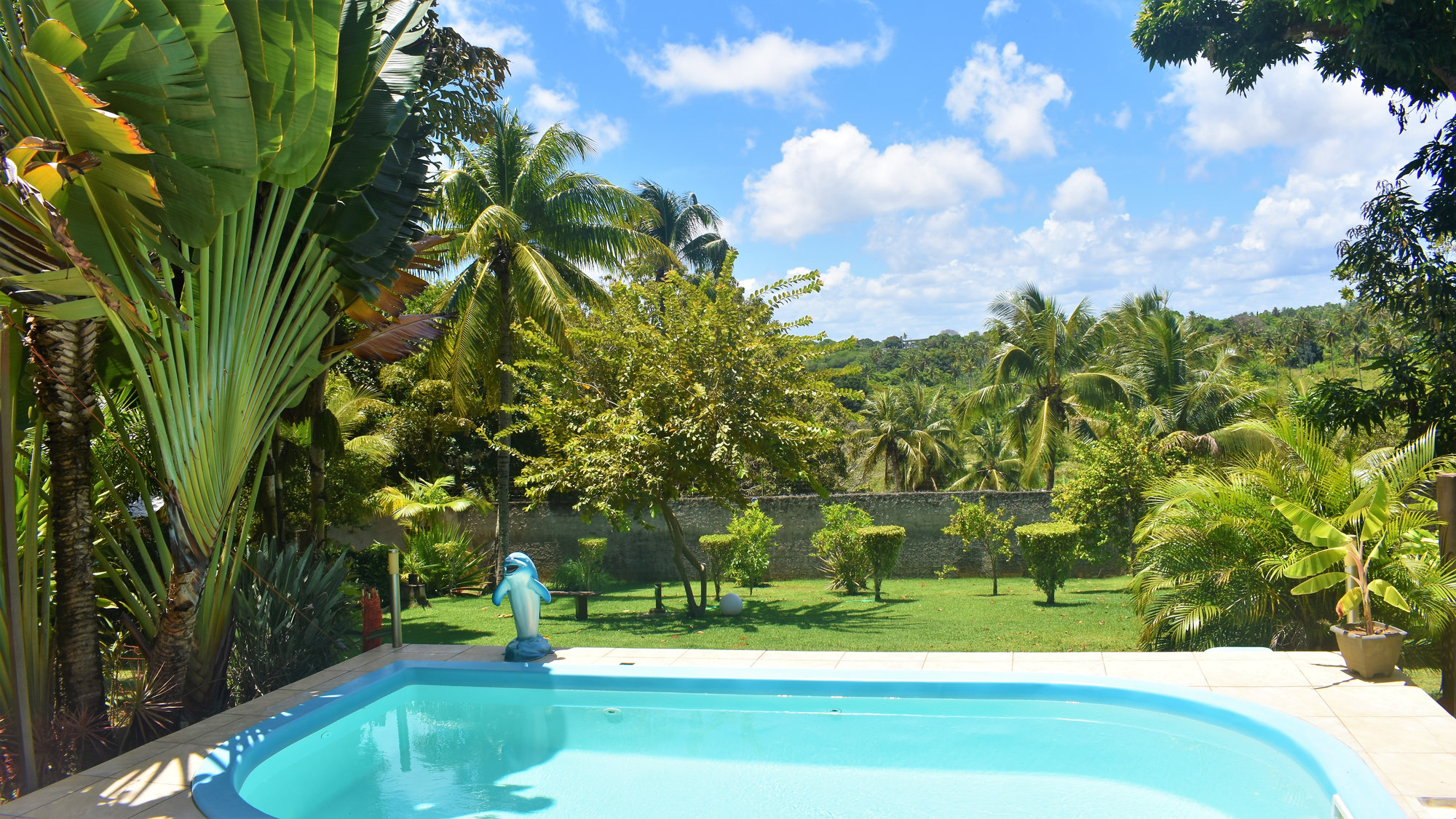 14-Day Ayahuasca Retreat with Flow Brazil Yoga, Meditation and Massages in Salvador da Bahia, Brazil 5