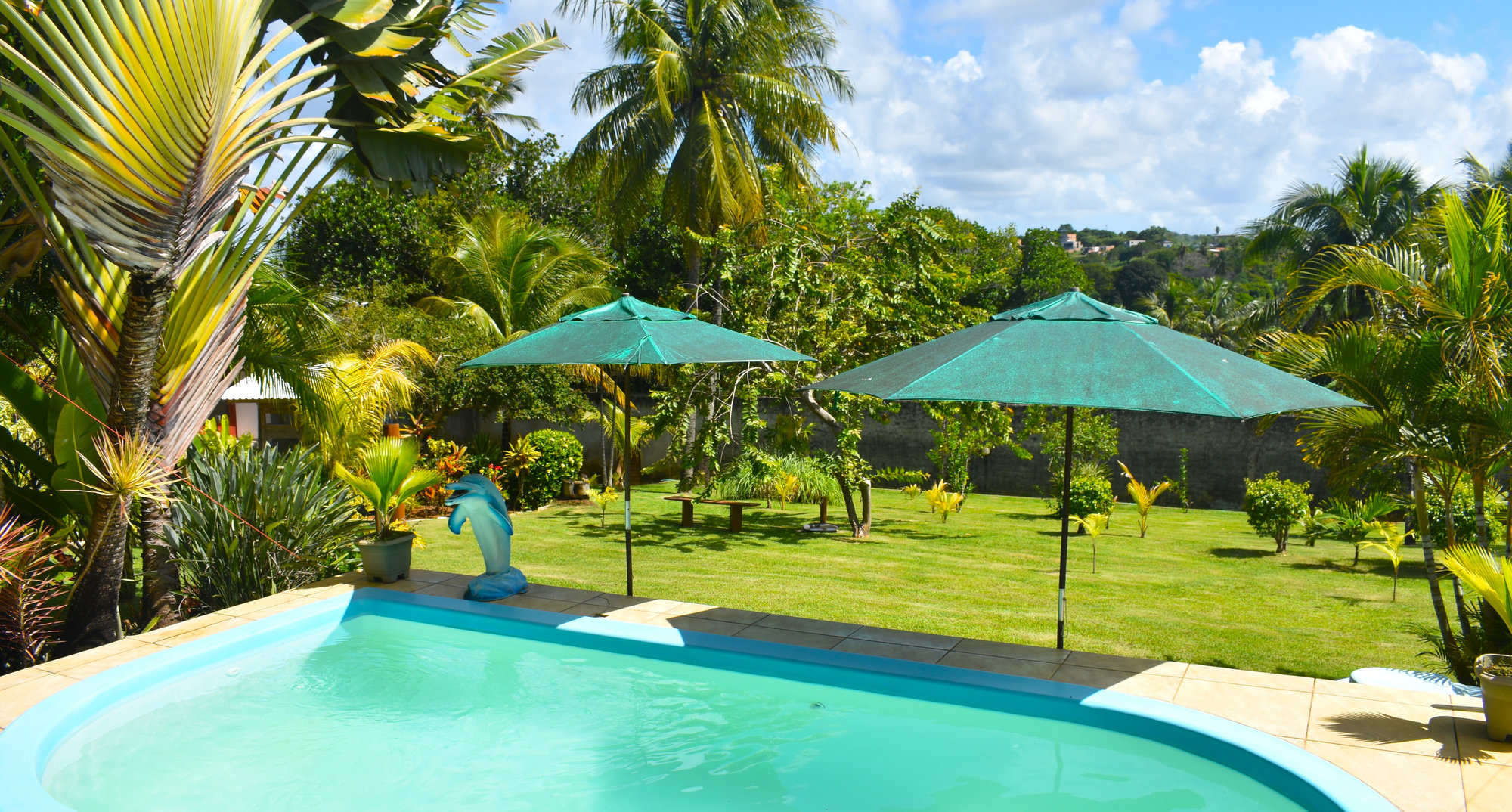 14-Day Ayahuasca Retreat with Flow Brazil Yoga, Meditation and Massages in Salvador da Bahia, Brazil 7
