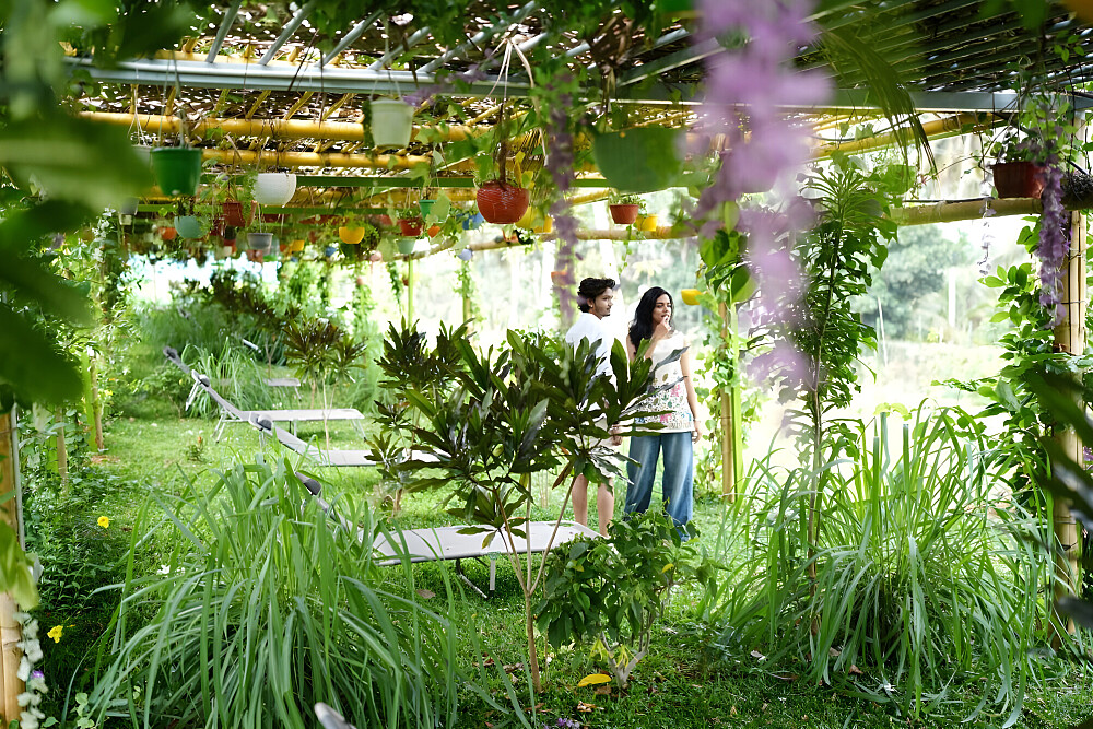 14 Day Panchakarma Detox & Ayurveda Healing Retreat in India 3