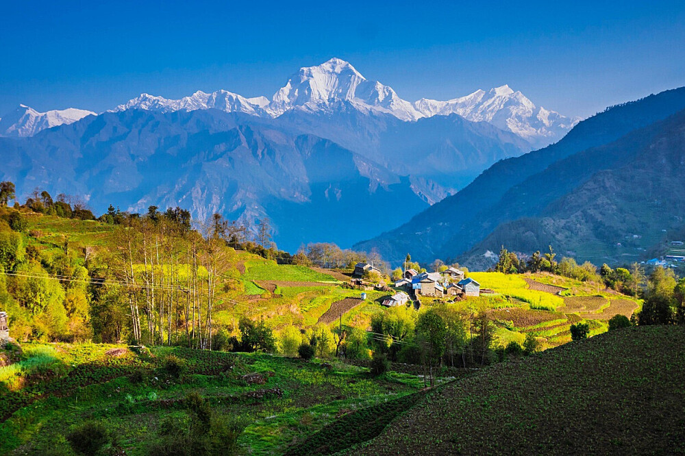14 Tage Sacred Transitions: Ein Boutique-Reise-Retreat in Nepal 15