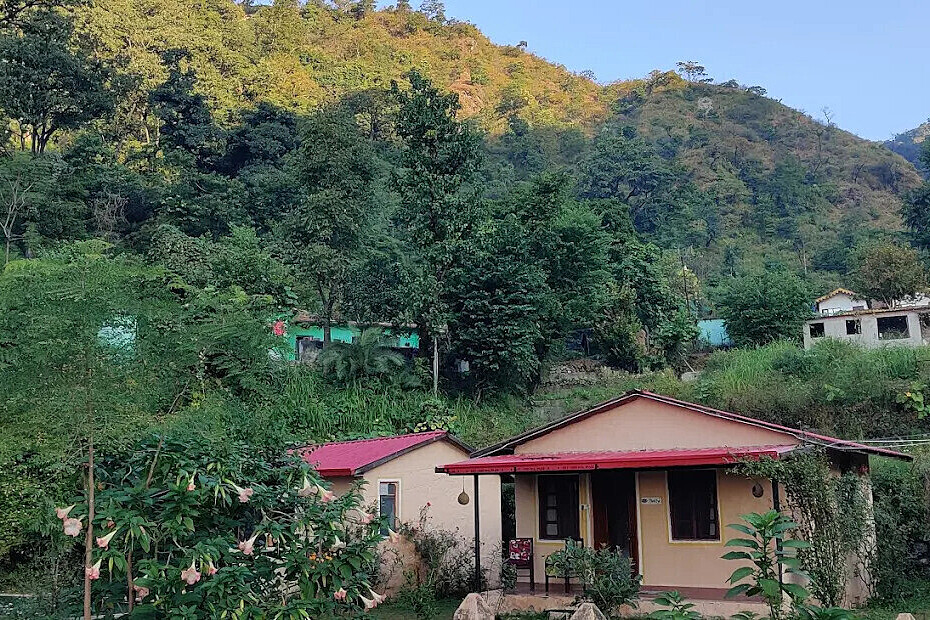 Retiro Espiritual de Ayurveda, Yoga e Desintoxicação de 14 Dias na Índia 10