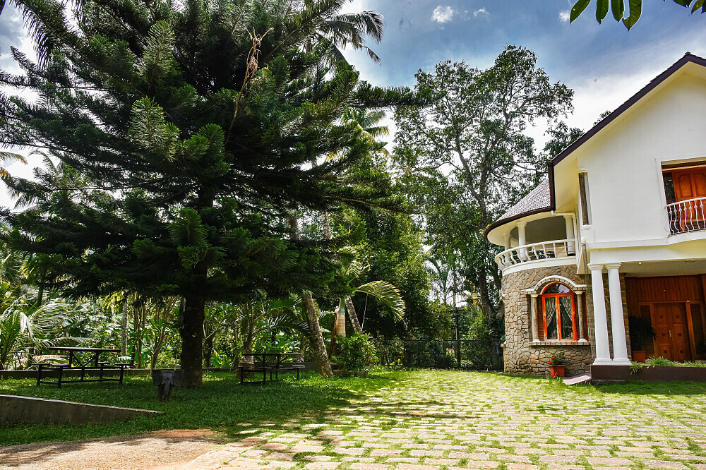 14 giorni di Master Cleanse, detox e ritiro di Ayurveda ad Adimali, Munnar, Kerala 23