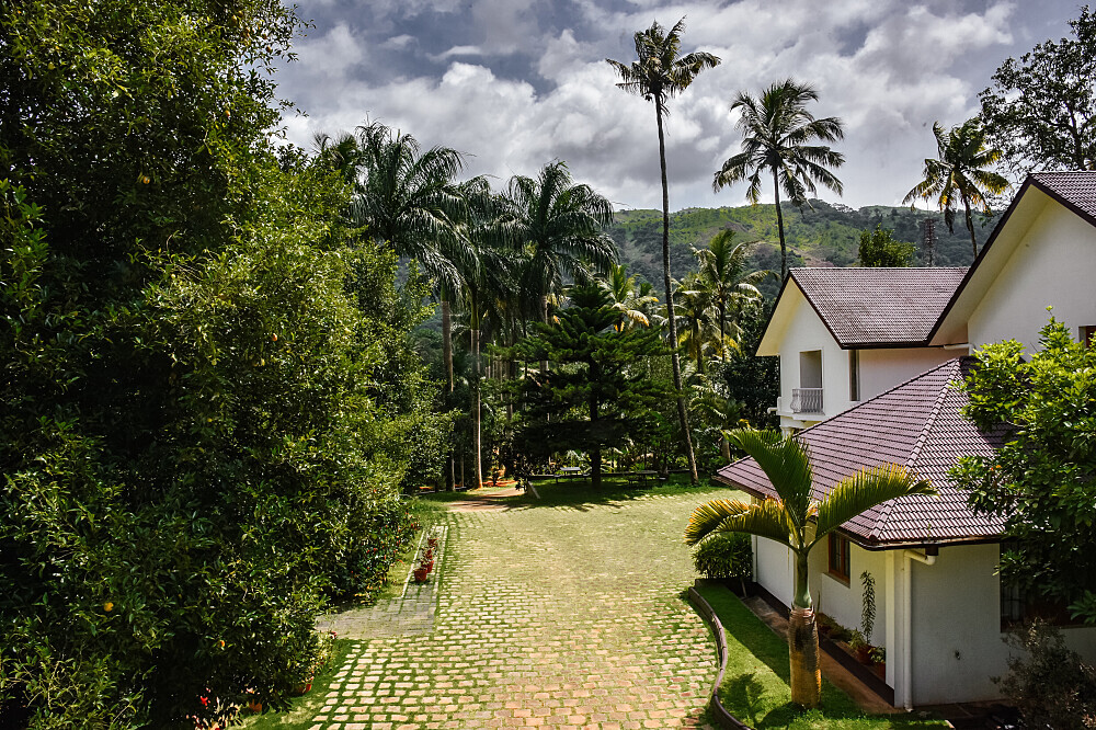 14 giorni di Master Cleanse, detox e ritiro di Ayurveda ad Adimali, Munnar, Kerala 22