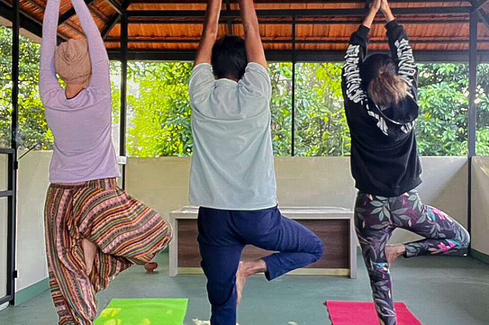 14 giorni di Master Cleanse, detox e ritiro di Ayurveda ad Adimali, Munnar, Kerala 46