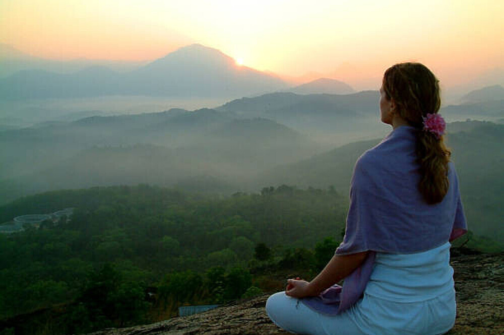 14 giorni di Master Cleanse, detox e ritiro di Ayurveda ad Adimali, Munnar, Kerala 13