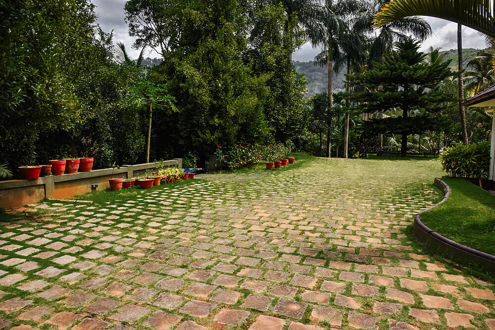 14 giorni di Master Cleanse, detox e ritiro di Ayurveda ad Adimali, Munnar, Kerala 17