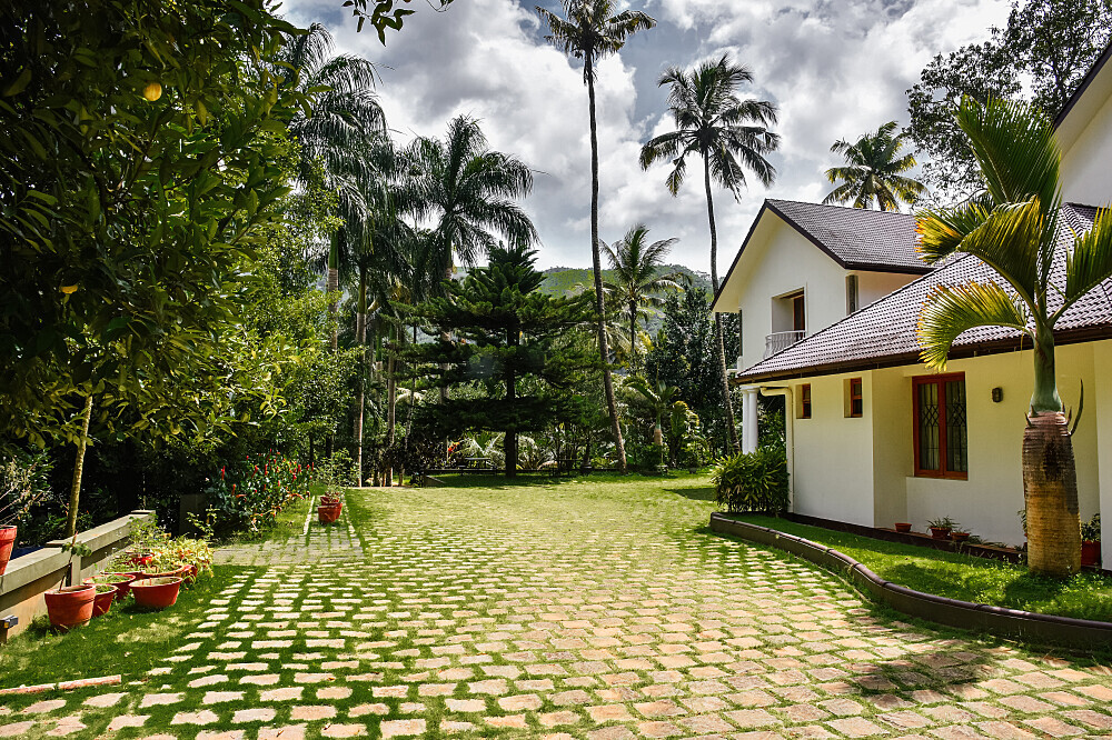 14 giorni di Master Cleanse, detox e ritiro di Ayurveda ad Adimali, Munnar, Kerala 21