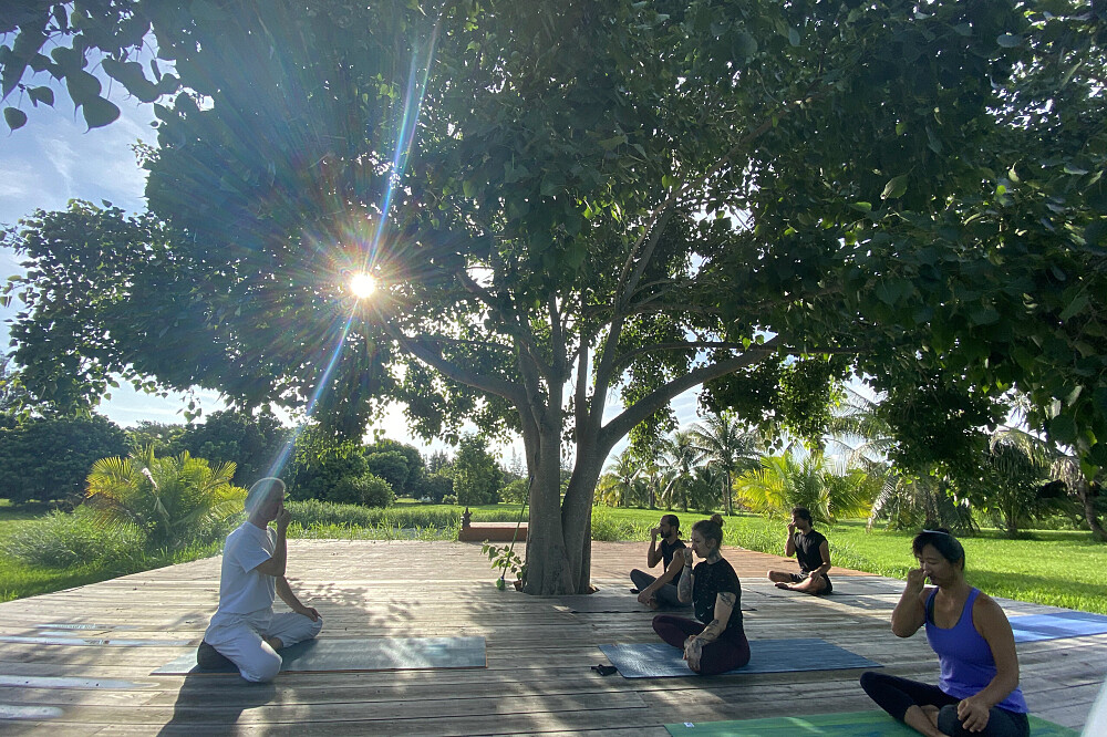 Formation de professeur de yoga de 15 jours, 200 heures, en Floride, États-Unis 22