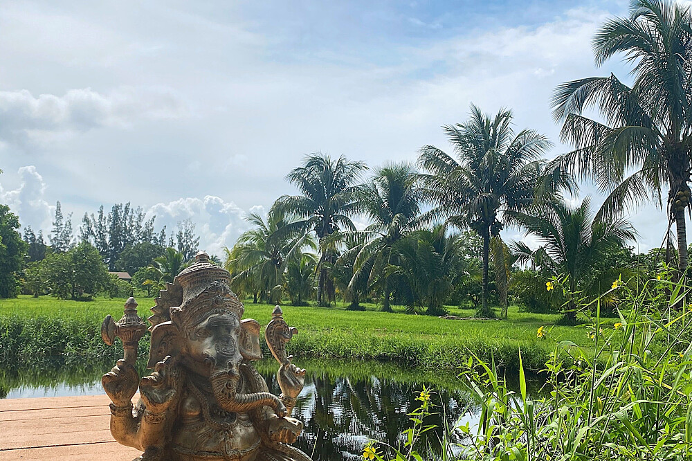 Formation de professeur de yoga de 15 jours, 200 heures, en Floride, États-Unis 15