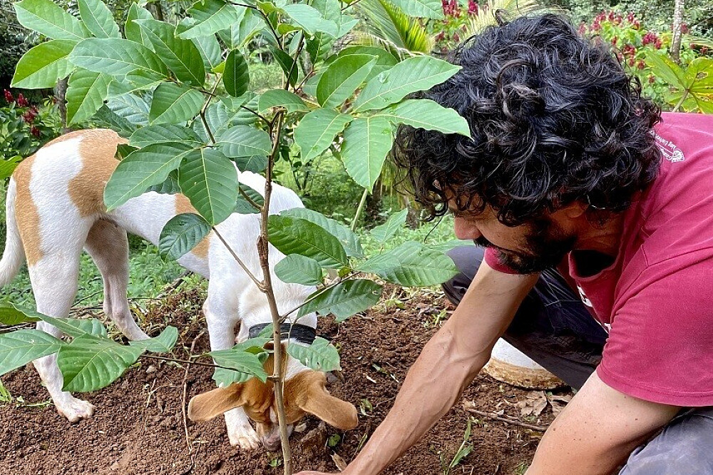 15 Tage Naturerlebnis-Retreat & Volunteering in Costa Rica 7