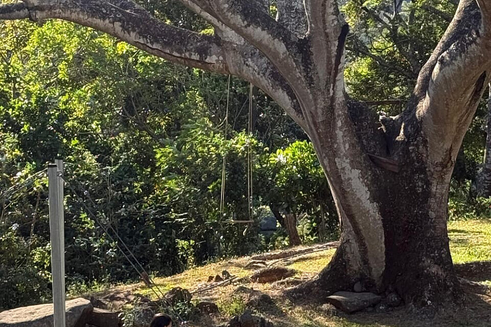 15 Tage Naturerlebnis-Retreat & Volunteering in Costa Rica 71