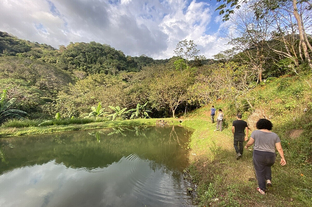 15 Tage Naturerlebnis-Retreat & Volunteering in Costa Rica 10
