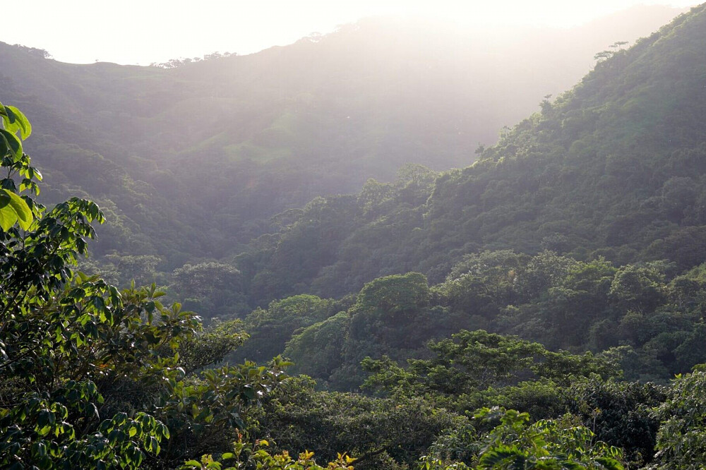 15 Tage Naturerlebnis-Retreat & Volunteering in Costa Rica 45