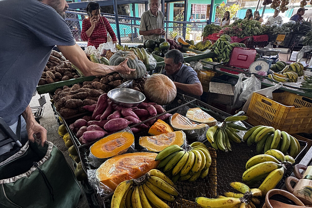 15 Tage Naturerlebnis-Retreat & Volunteering in Costa Rica 62