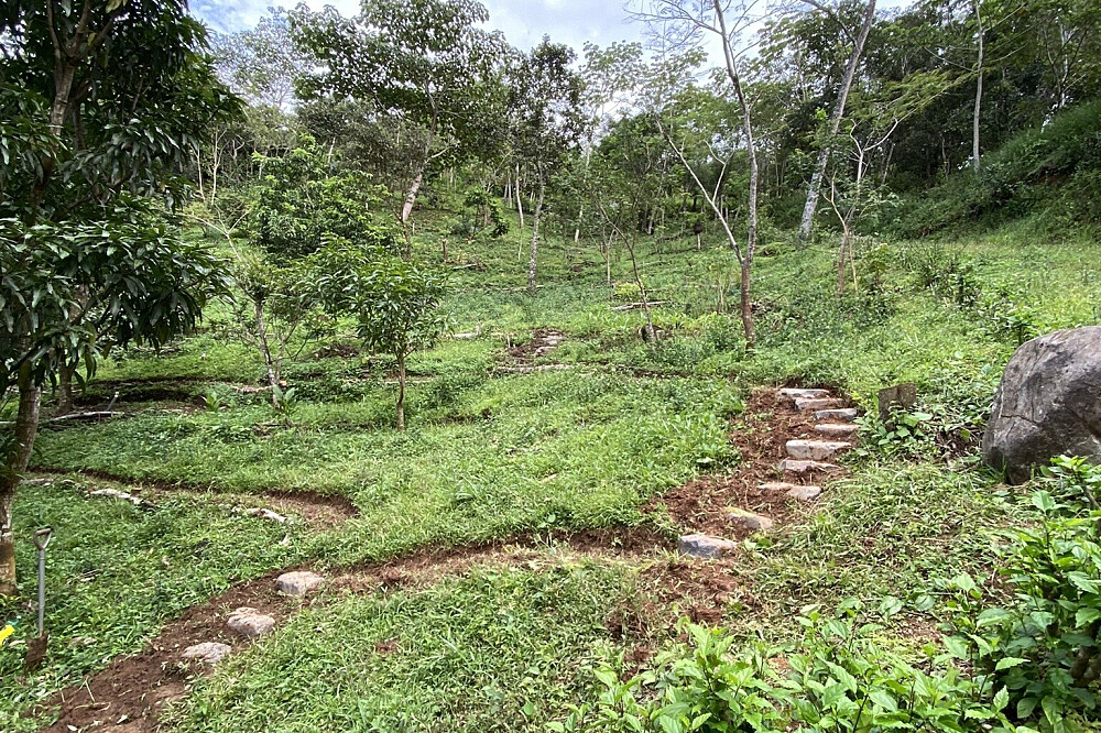15 Tage Naturerlebnis-Retreat & Volunteering in Costa Rica 52