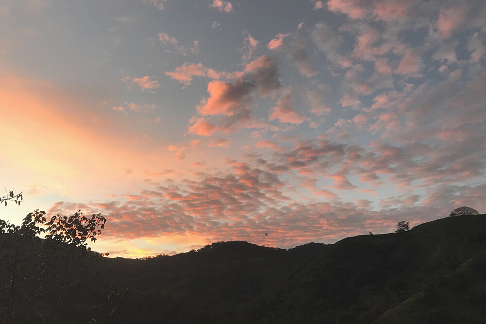 15 Tage Naturerlebnis-Retreat & Volunteering in Costa Rica 46