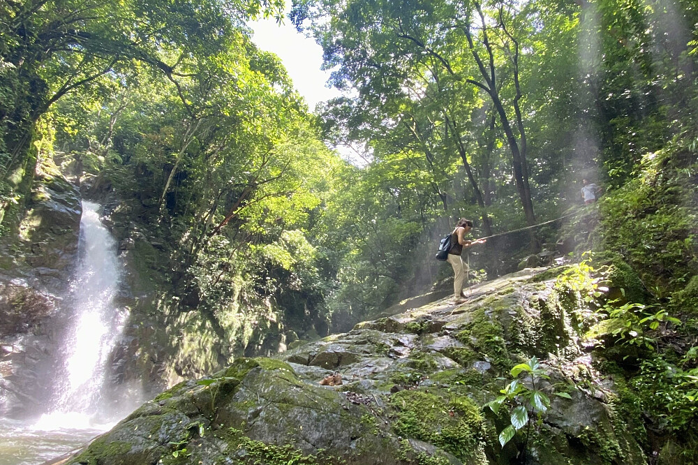 15 Tage Naturerlebnis-Retreat & Volunteering in Costa Rica 49