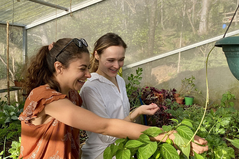 15 Tage Naturerlebnis-Retreat & Volunteering in Costa Rica 55