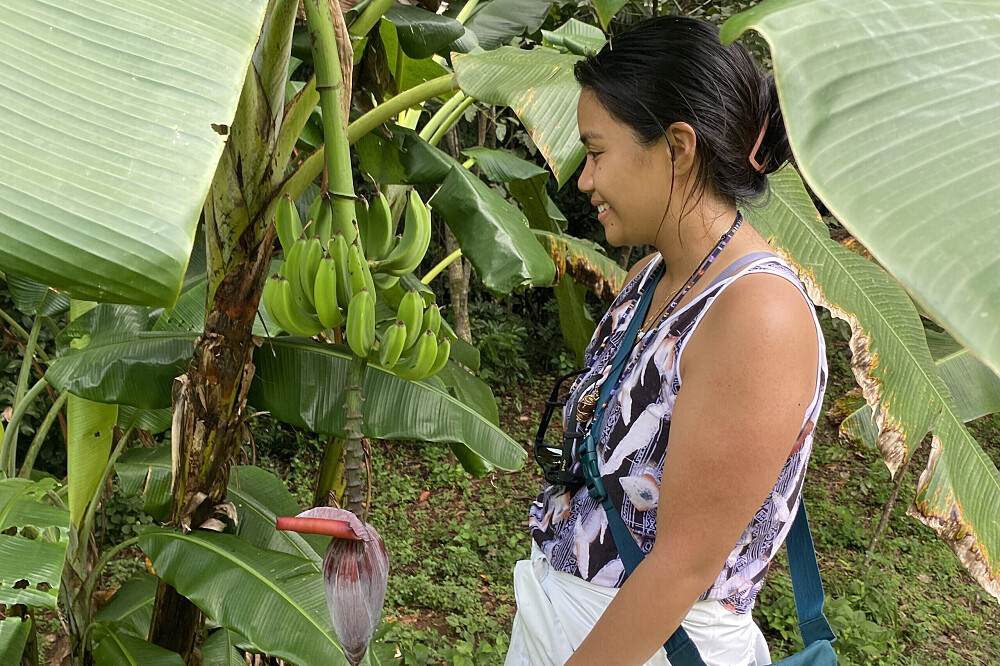 15 Tage Naturerlebnis-Retreat & Volunteering in Costa Rica 22