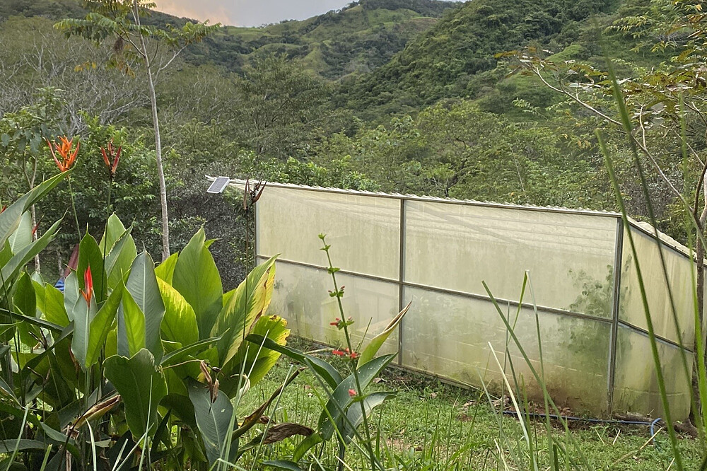 15 Tage Naturerlebnis-Retreat & Volunteering in Costa Rica 51