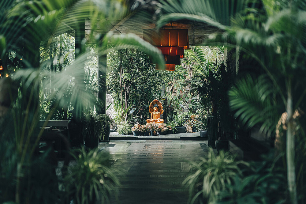 Reset de vida de 16 dias: ioga, meditação e desintoxicação digital no Camboja 36