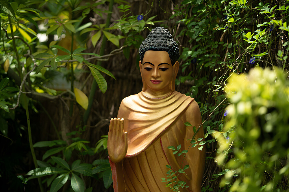 Reset de vida de 16 dias: ioga, meditação e desintoxicação digital no Camboja 8