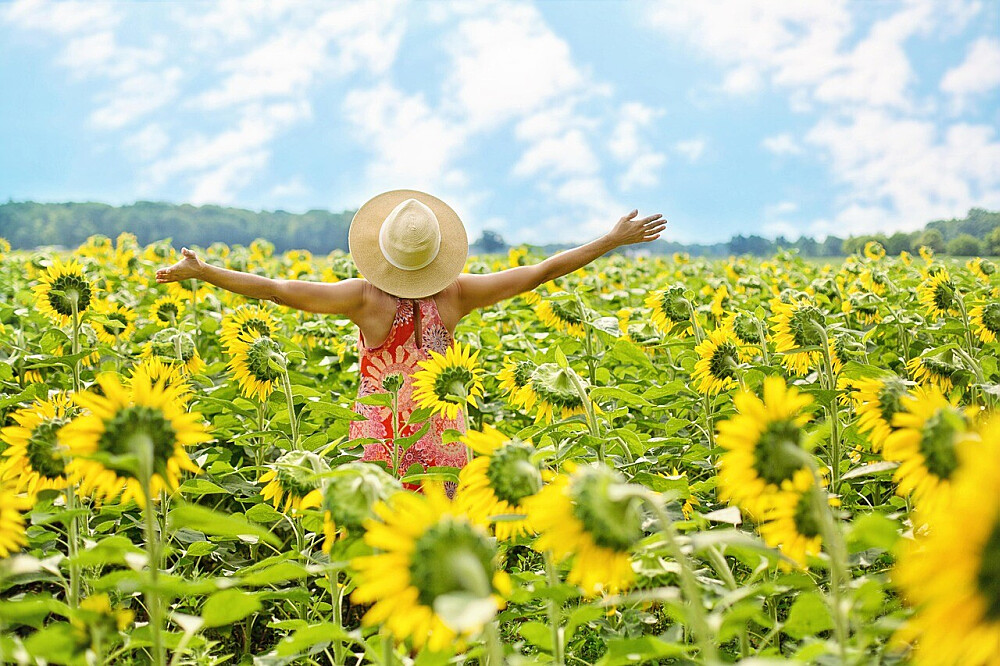2 Day Deep Reset: Private Nervous System Realignment, ON, Canada 2