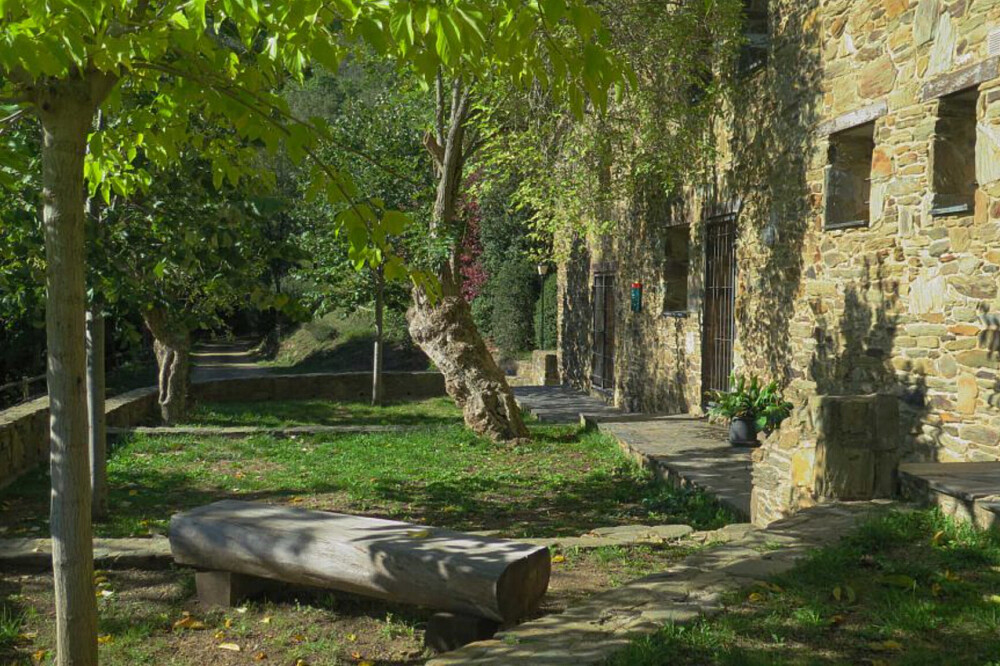 2 Day Flexible Ayahuasca Retreat (Up to 3 Ceremonies), Barcelona 8
