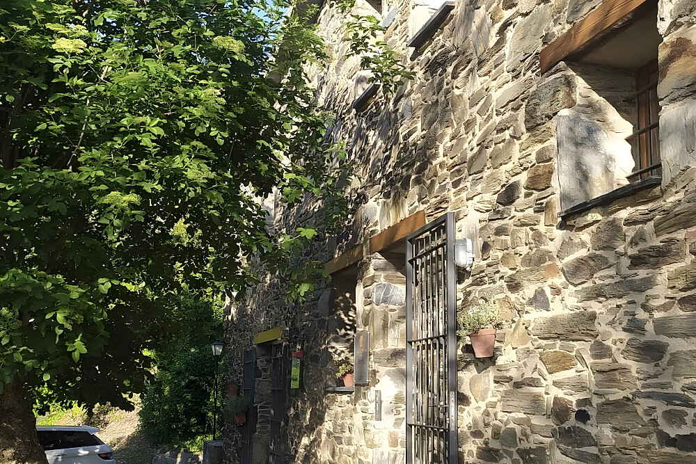 2 Day Flexible Ayahuasca Retreat (Up to 3 Ceremonies), Barcelona 7