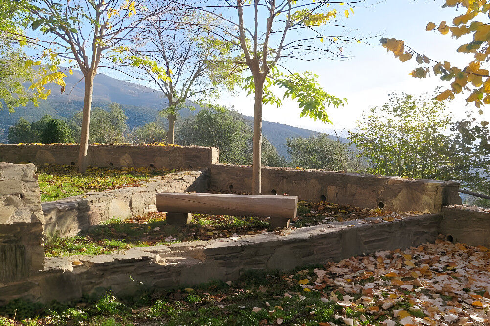 2-tägiges flexibles Ayahuasca-Retreat (bis zu 3 Zeremonien), Barcelona 2