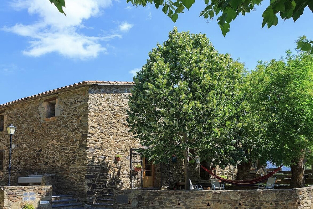2-tägiges flexibles Ayahuasca-Retreat (bis zu 3 Zeremonien), Barcelona 5