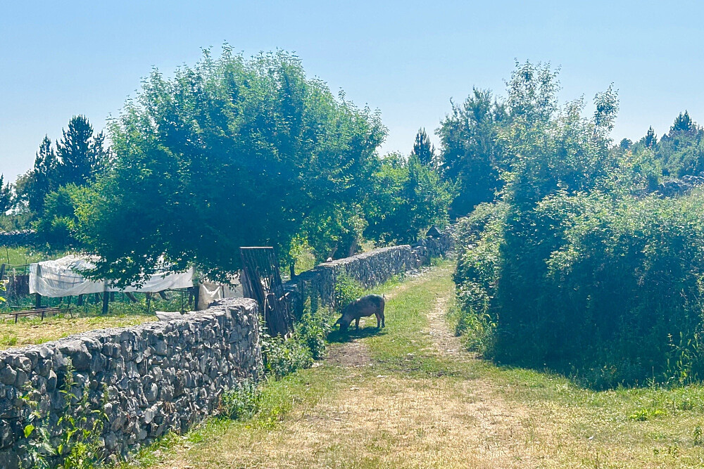 Benessere in montagna di 2 giorni: escursioni, yoga e Qi Gong | Albania 6
