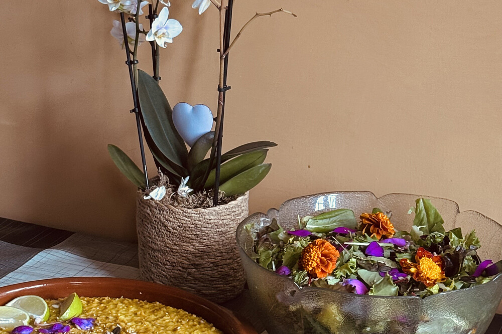 2 Day Plant Medicine Retreat, Small Group, Germany 9
