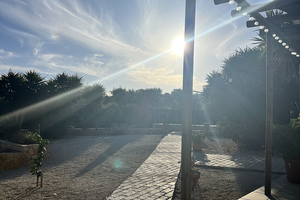 2 Day Private Psilocybin Ceremony in Alcantarilha, Portugal 4
