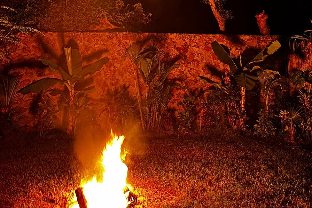 Retiro de 2 Dias de Cura na Selva com Psilocibina em Nayarit, México 8
