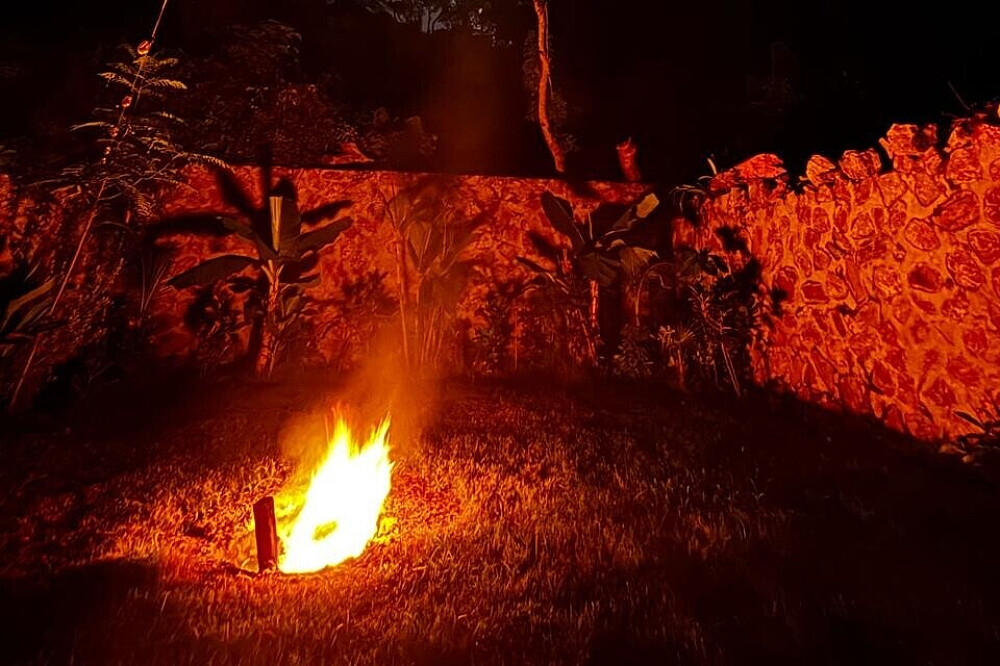 2 Day Psilocybin Jungle Healing Retreat in Nayarit, Mexico