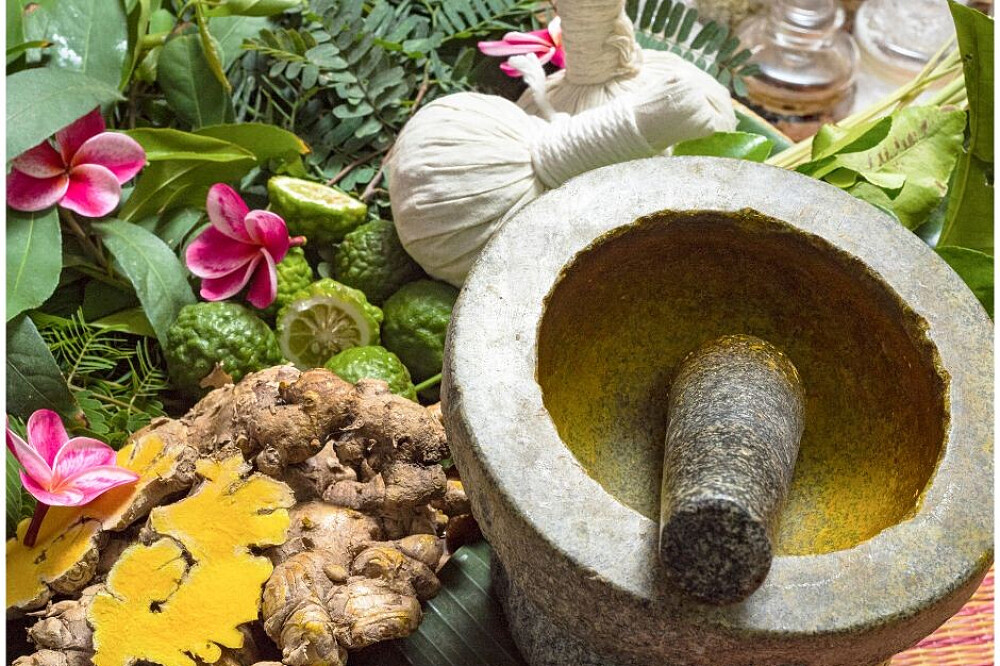 20 Day 200 hr Ayurveda & Yin Yoga Teacher Training, Goa, India 5
