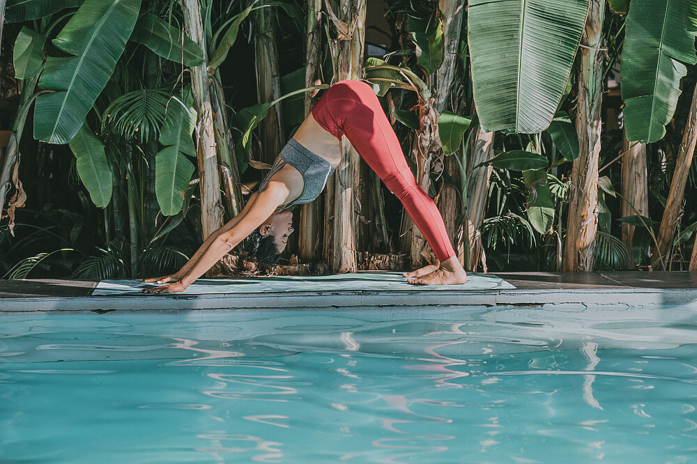 Formation de professeur d'Ayurveda et de Yin Yoga de 20 jours, 200 heures, à Goa, en Inde 12
