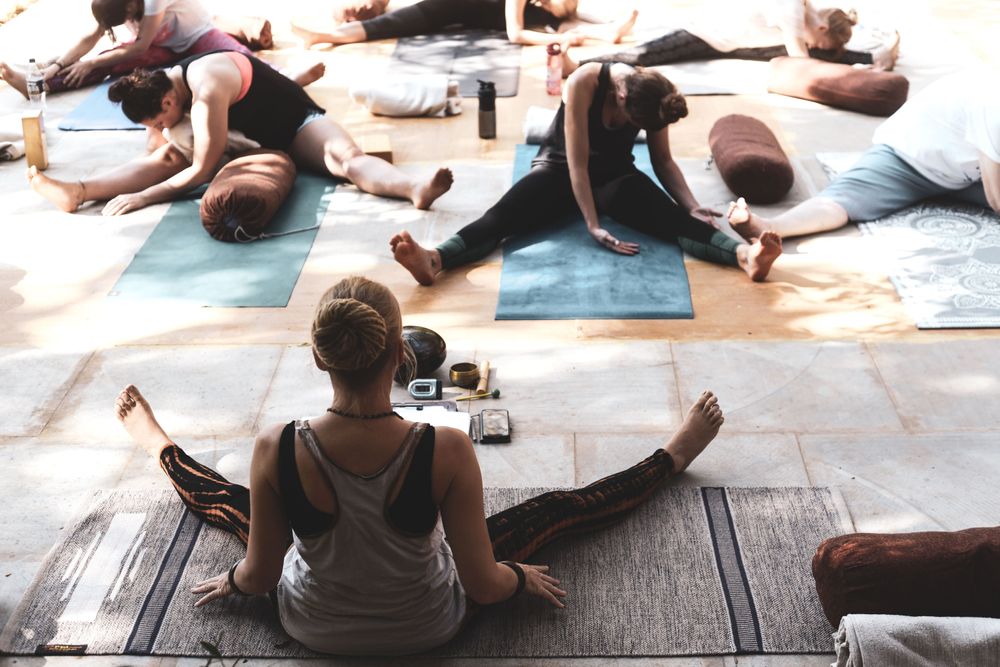 Formation de professeur d'Ayurveda et de Yin Yoga de 20 jours, 200 heures, à Goa, en Inde 56