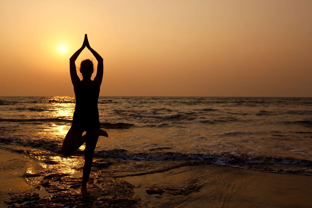 Formation de professeur d'Ayurveda et de Yin Yoga de 20 jours, 200 heures, à Goa, en Inde 22