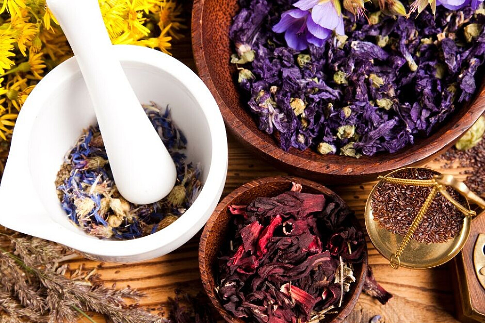 Formation de professeur d'Ayurveda et de Yin Yoga de 20 jours, 200 heures, à Goa, en Inde 59